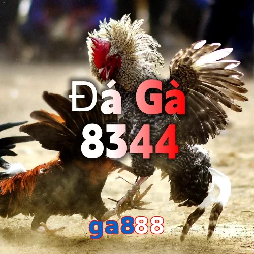 ga888